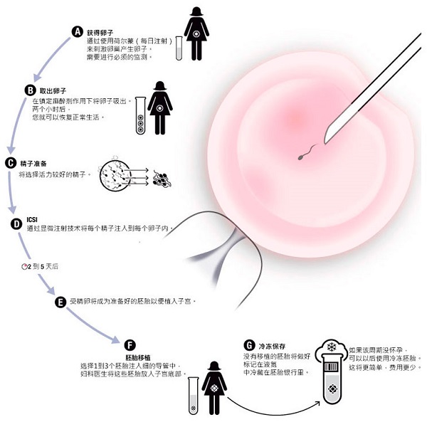 这些明星的孩子竟是供卵做试管婴儿，盘点娱乐圈做供卵做试管婴儿的明星