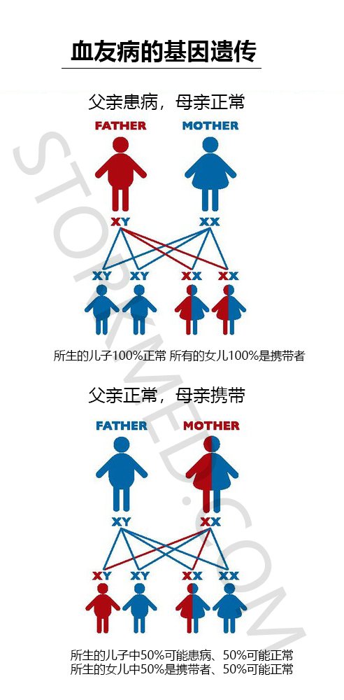 (4月7日更新）广州最好的供卵试管婴儿成功医院攻略血泪和照片,IVF,成功经验