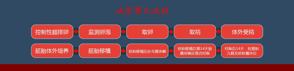 正常人做供卵代生做供卵试管需要多少钱