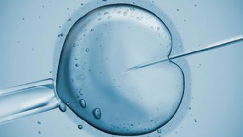 在美国通过赠卵助孕供卵试管技术生女孩容易吗？