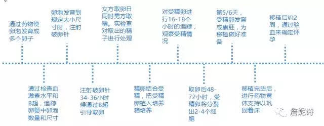 做一次借卵代怀试管需要多少钱？