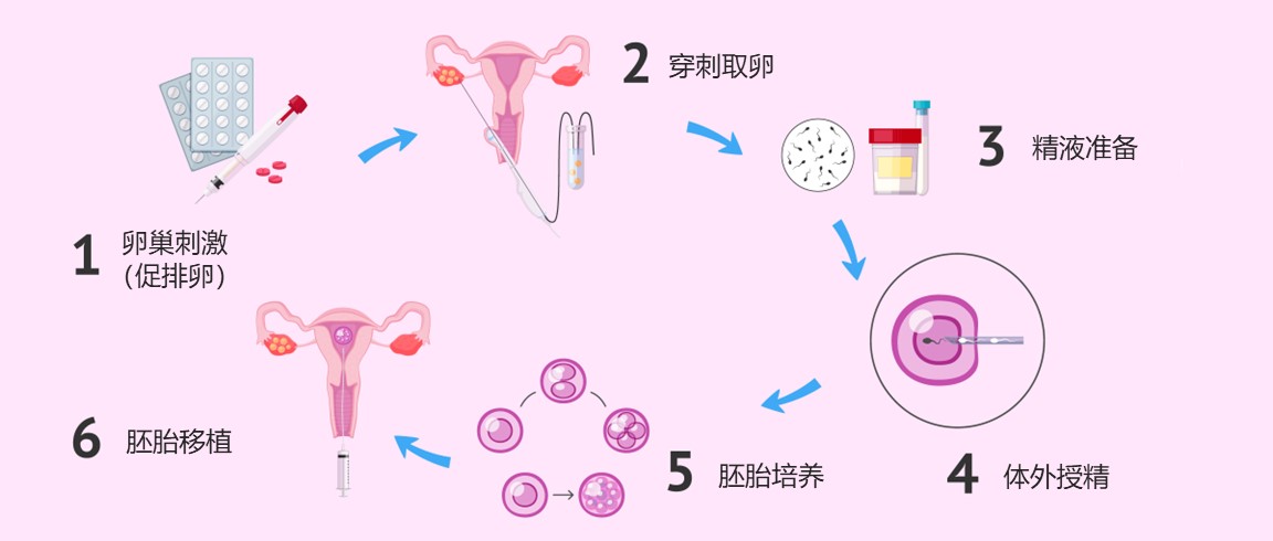 广州中信湘雅供卵试管婴儿