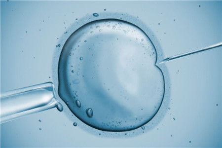 做借卵试管婴儿移植到子宫就算成功了吗