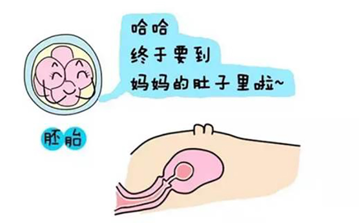 广州试管婴儿医院费用多少费用
