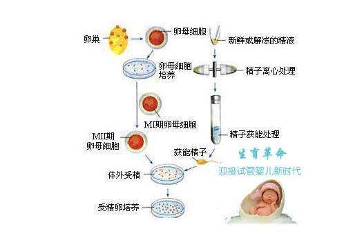 怎么才能知道卵泡有没有排出来+如何知道卵泡有没有排出来