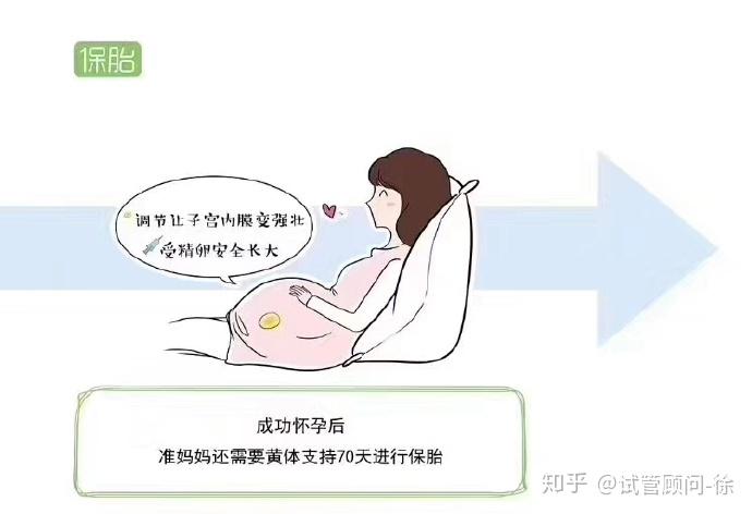 广州供卵医院地址在哪里呢+同济代怀咨询吗