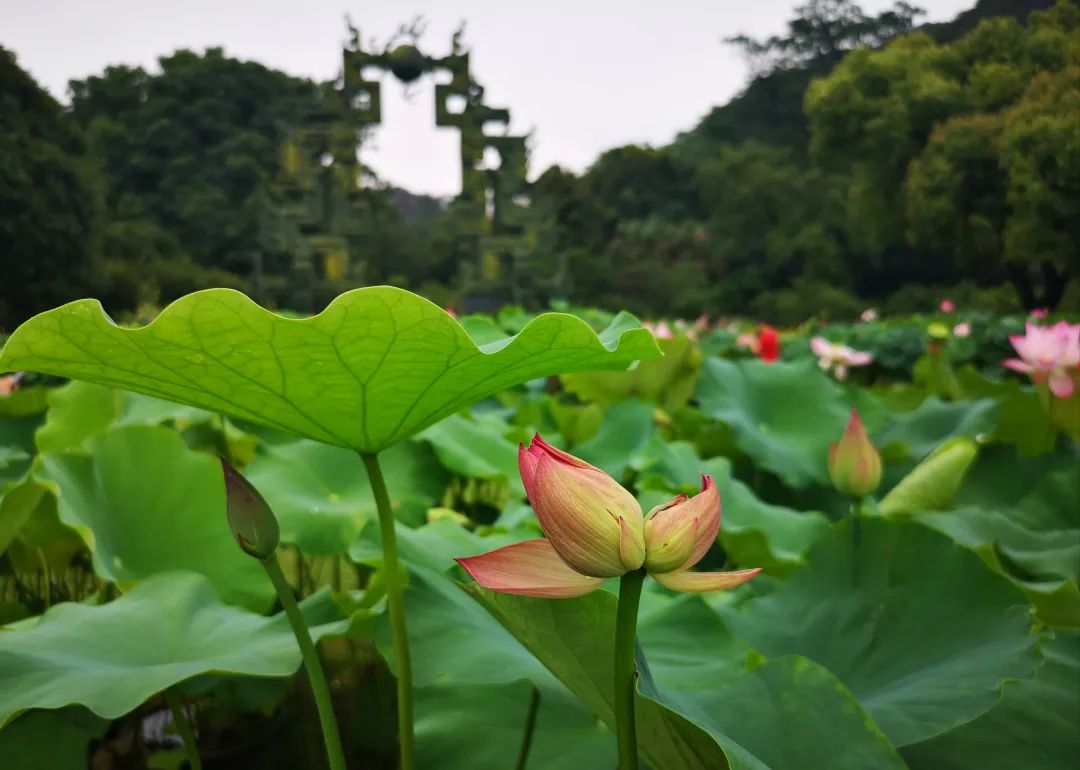 据说5月出生的女孩更有福气