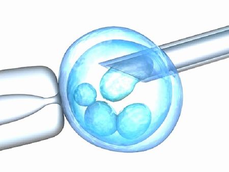 医院包生男孩代怀移植成功48_广州代怀成功率医院排名婴儿必须要了解的常识