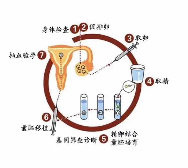 在广州试管代怀成功率有多少婴儿多少钱（只要32040元）