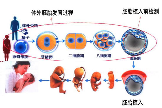 2024广州找女人试管代怀电话医院排名,附成功率及费用介绍