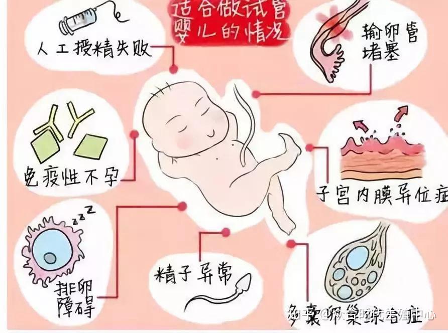 受精卵试管代怀怎么才能生男孩（生男孩费用多少钱？）