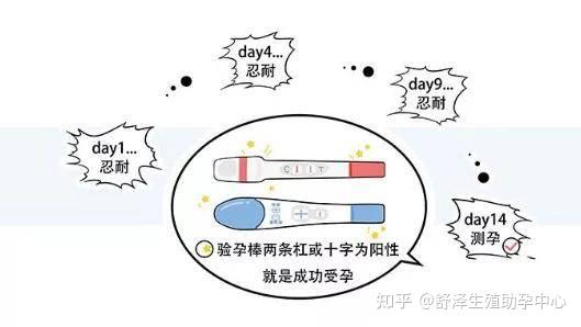 国内试管代怀合法吗生双胞胎的几率有多大