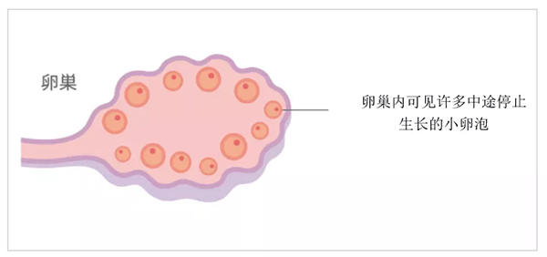 2024年在广州省助孕中介机构婴儿哪个医院成功率排名好