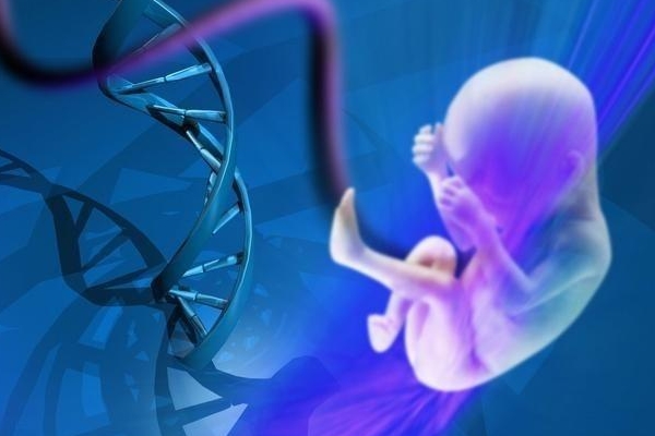 2024广州失独高龄试管成功率最高的医院前三官方公布!附最新助孕费用及医院指南
